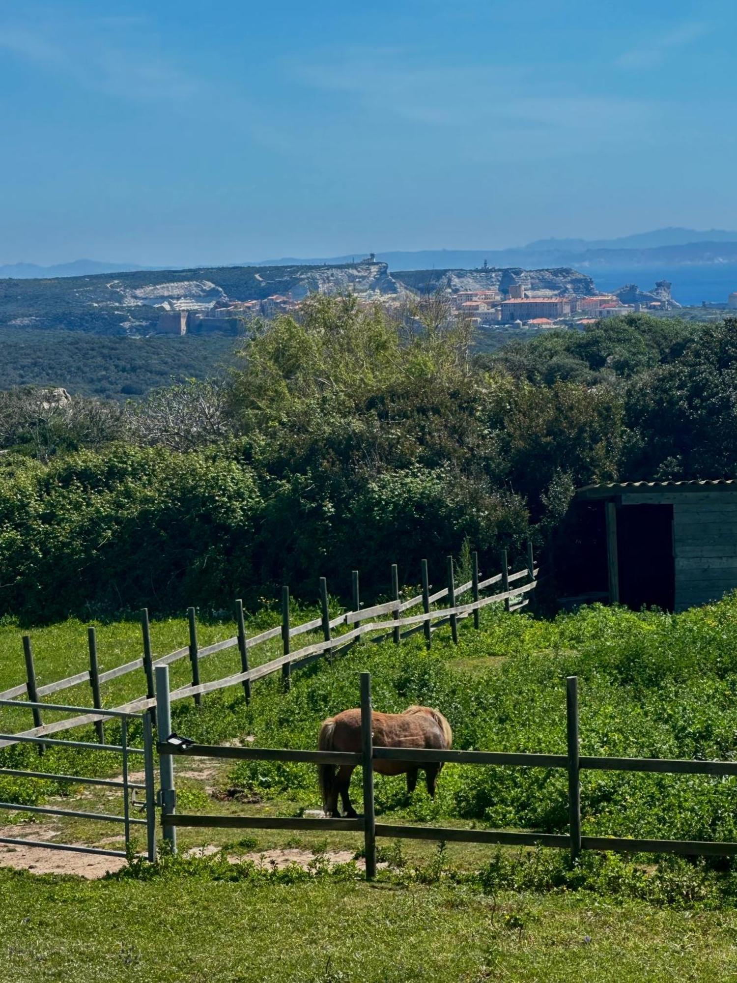 A Santa Trinita Villa Bonifacio  Bagian luar foto
